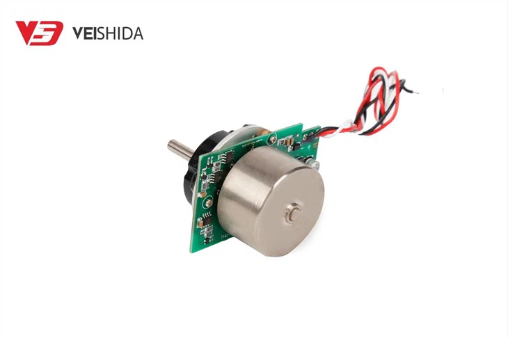 BLDC External Rotor Motor