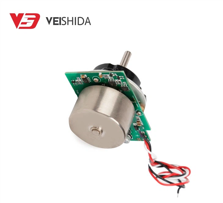 BLDC External Rotor Motor