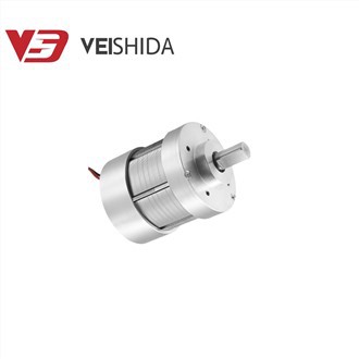 Động cơ BLDC 24v