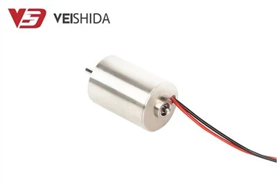 Động cơ điện hộp số từ DC 24V 300 RPM